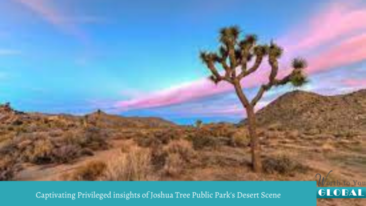 Captivating Privileged insights of Joshua Tree Public Park's Desert Scene