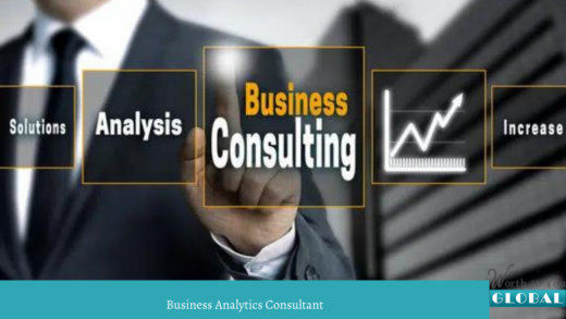 Business Analytics Consultant