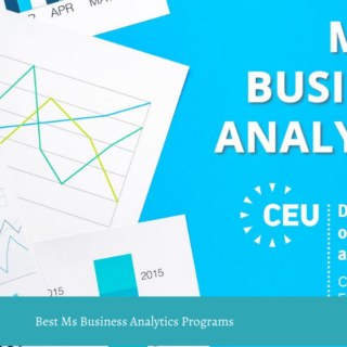 Best Ms Business Analytics Programs