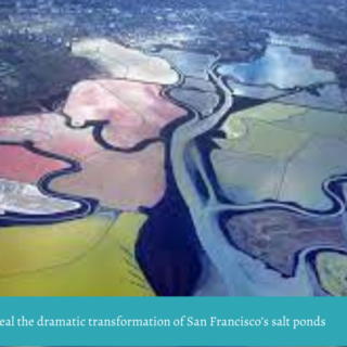 Photos reveal the dramatic transformation of San Francisco’s salt ponds