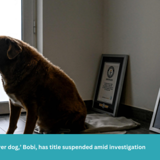 Oldest ever dog,’ Bobi, has title suspended amid investigation