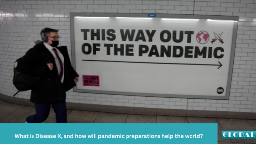 What is Disease X, and how will pandemic preparations help the world?